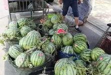 沂水吃瓜网红事件真相,真相背后的网络狂欢与反思