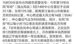 青岛台风爆料最新消息,紧急预警与应对措施全解析