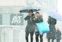 重大爆料预告最新消息新闻,重大爆料预告，最新消息即将揭晓！