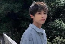 台湾周峻纬被爆料视频,真相与争议全解析