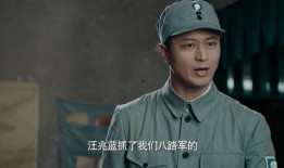 誓盟电视剧在线观看,热血铸就忠诚岁月
