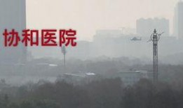 纽约医生爆料美国视频在线观看,美国疫情真相，视频在线观看引发热议