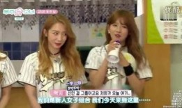 少女派别在线观看,青春校园的神秘纠葛