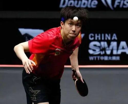 王楚钦吃娱乐圈瓜