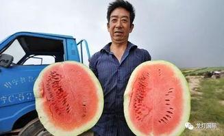 娱乐吃瓜酱算什么行业的